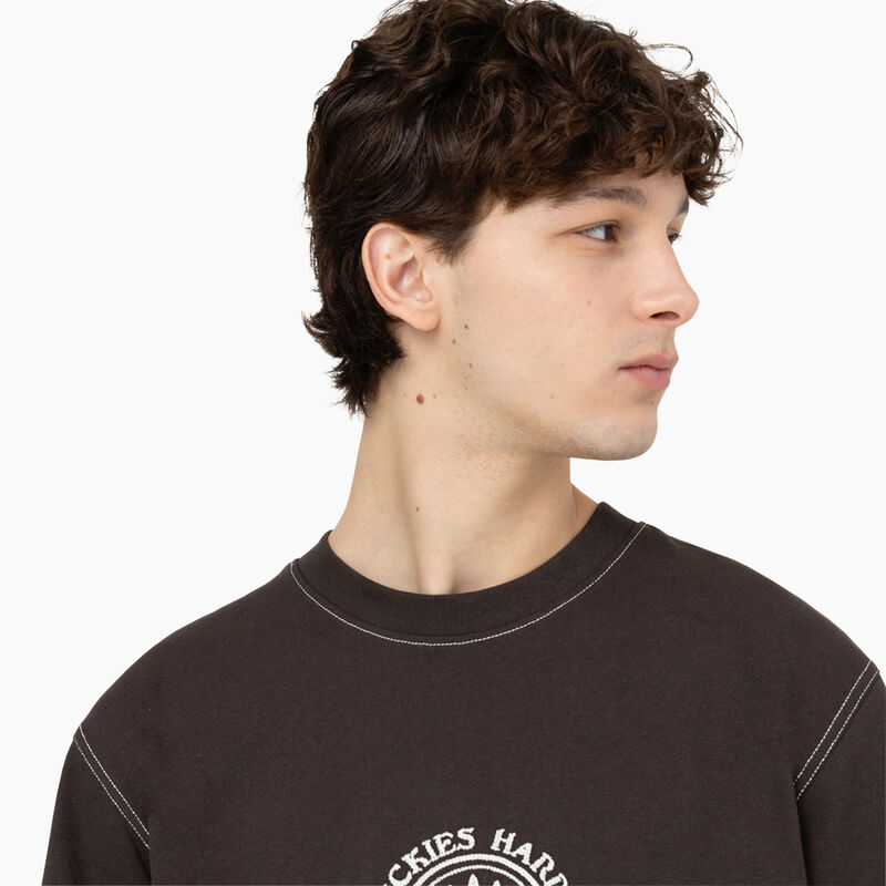 Dickies Beavertown Short Sleeve T-Shirt Dark Brown ID-4H3Oh7nj