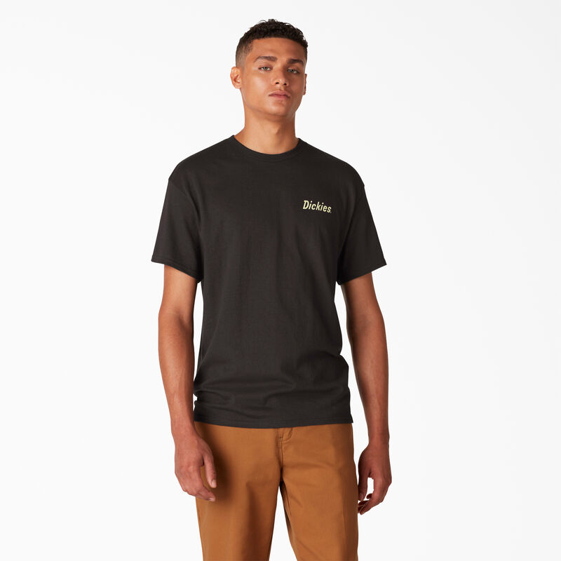 Dickies Skateboarding Split Graphic T-Shirt Black ID-4njQmOJb