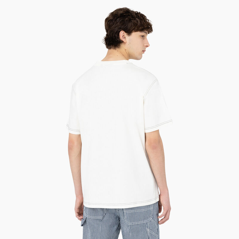 Dickies Beavertown Short Sleeve T-Shirt Cloud ID-4sUSjyXk