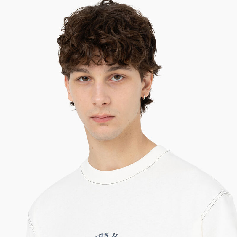 Dickies Beavertown Short Sleeve T-Shirt Cloud ID-4sUSjyXk