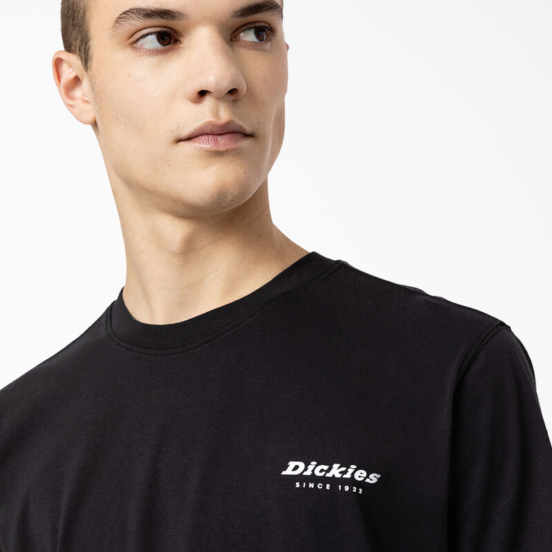 Dickies Camden Box Graphic T-Shirt Black ID-5XOHOyN8