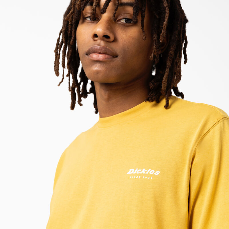 Dickies Camden Box Graphic T-Shirt Harvest Gold ID-6zbgC2fh