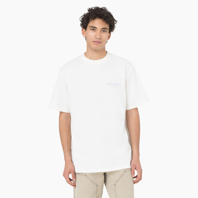 Dickies Oatfield Short Sleeve T-Shirt Cloud ID-8aAgmZZR