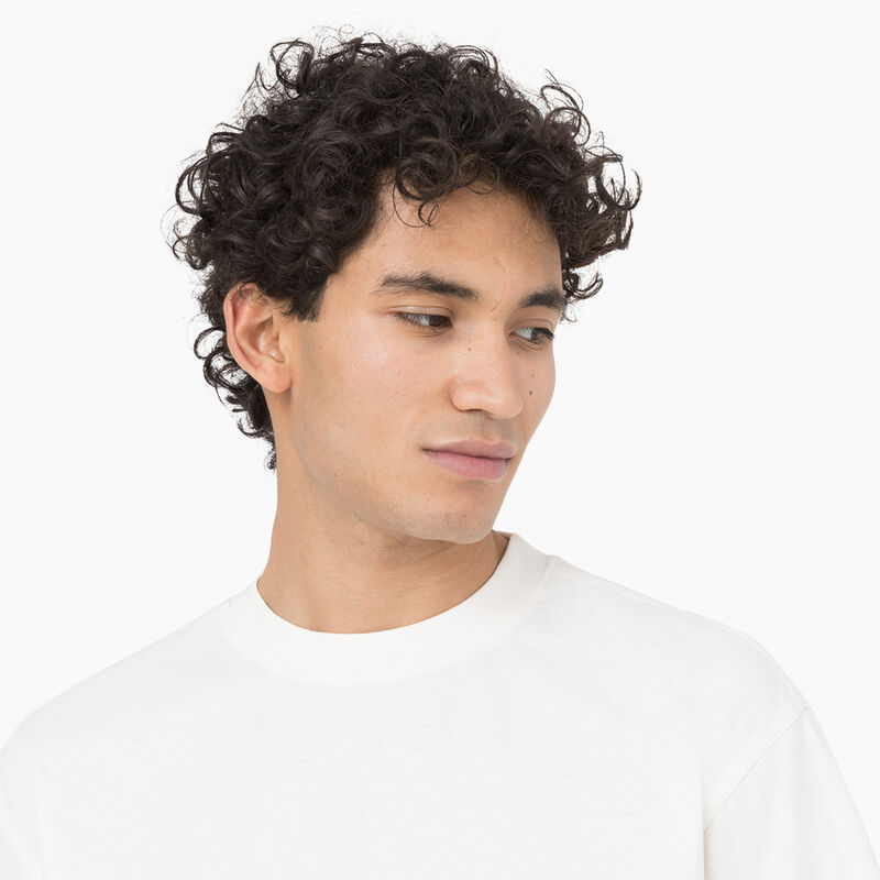 Dickies Oatfield Short Sleeve T-Shirt Cloud ID-8aAgmZZR