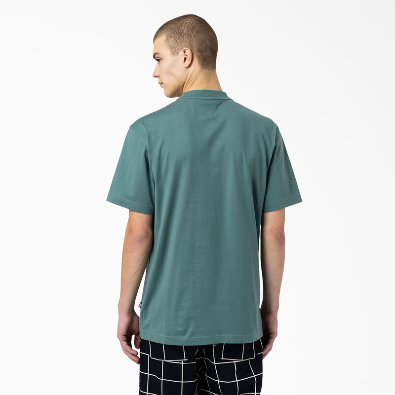 Dickies Skateboarding Mount Vista T-Shirt Lincoln Green ID-91OHAgUD