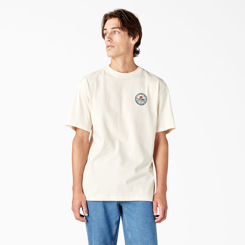 Dickies Greensburg Graphic T-Shirt Stone Whitecap Gray ID-9PRX5KrW