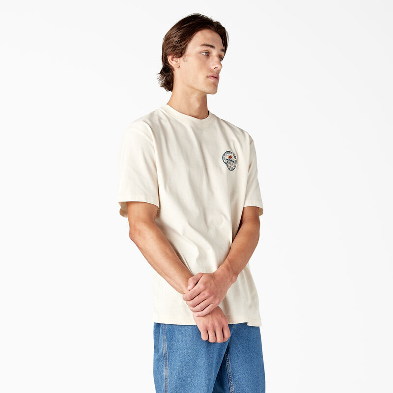 Dickies Greensburg Graphic T-Shirt Stone Whitecap Gray ID-9PRX5KrW