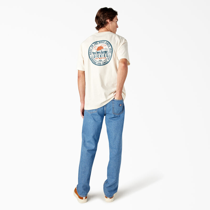 Dickies Greensburg Graphic T-Shirt Stone Whitecap Gray ID-9PRX5KrW