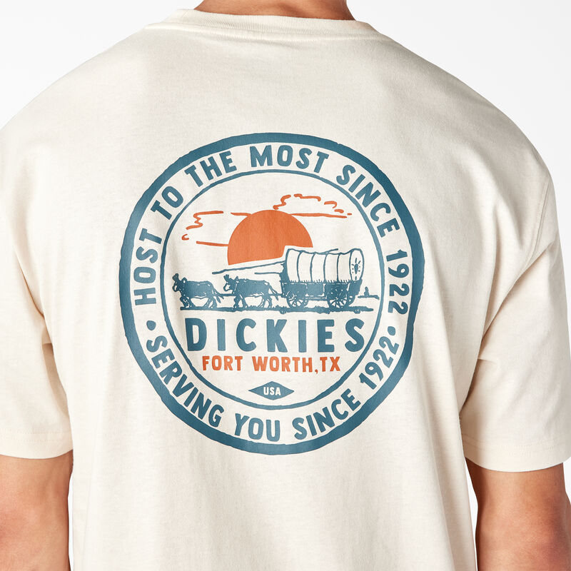 Dickies Greensburg Graphic T-Shirt Stone Whitecap Gray ID-9PRX5KrW