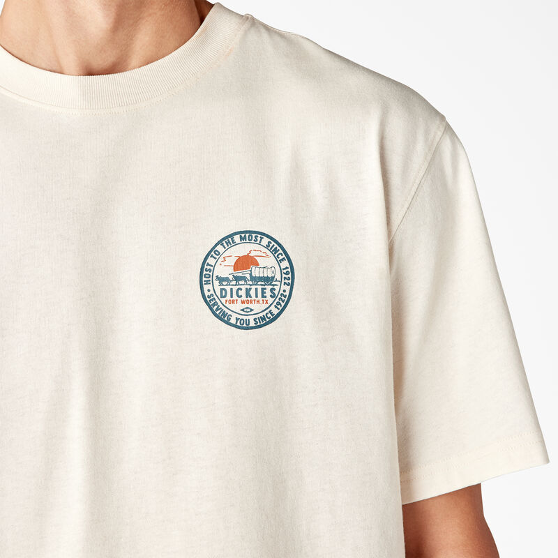 Dickies Greensburg Graphic T-Shirt Stone Whitecap Gray ID-9PRX5KrW