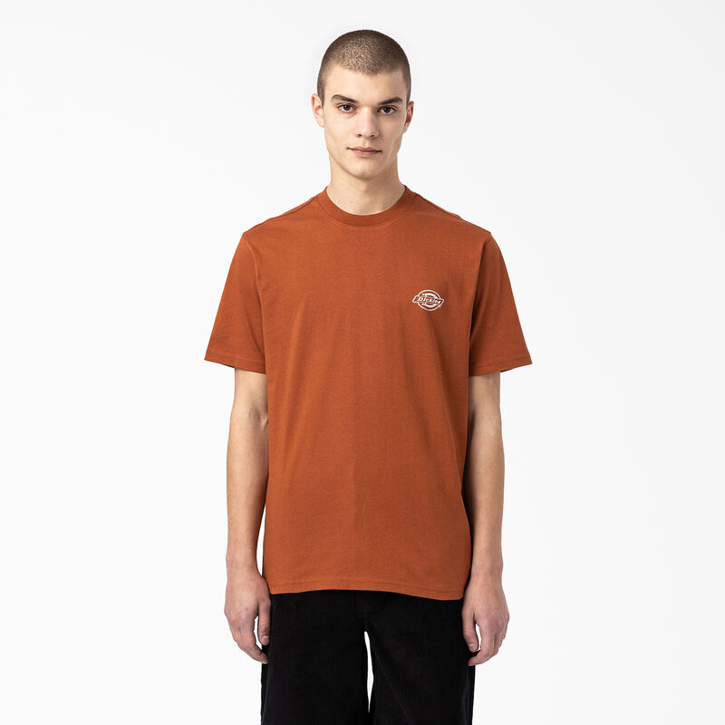 Dickies Back Logo Graphic T-Shirt Gingerbread Brown ID-9kUdVLu3