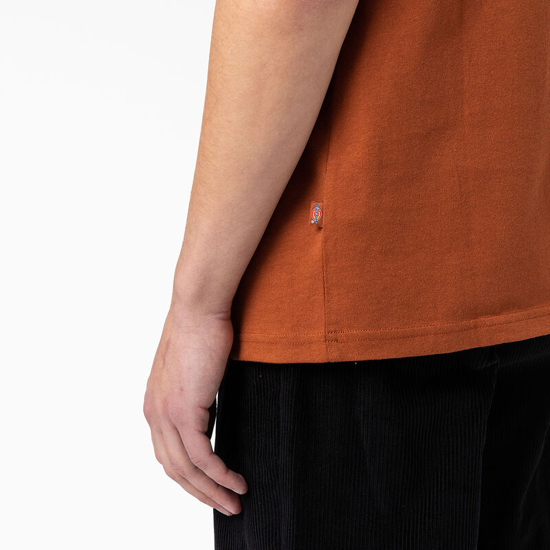 Dickies Back Logo Graphic T-Shirt Gingerbread Brown ID-9kUdVLu3