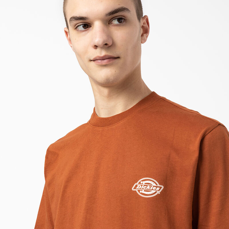 Dickies Back Logo Graphic T-Shirt Gingerbread Brown ID-9kUdVLu3