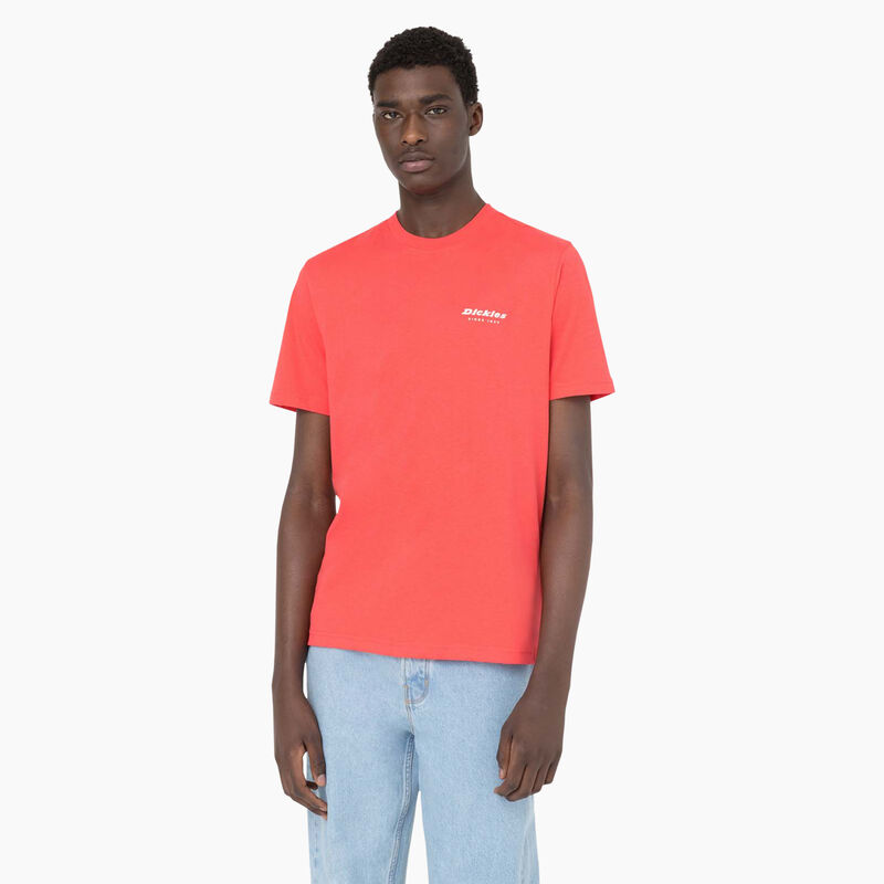 Dickies Leesburg Short Sleeve T-Shirt Bittersweet ID-BUGeZ9rp
