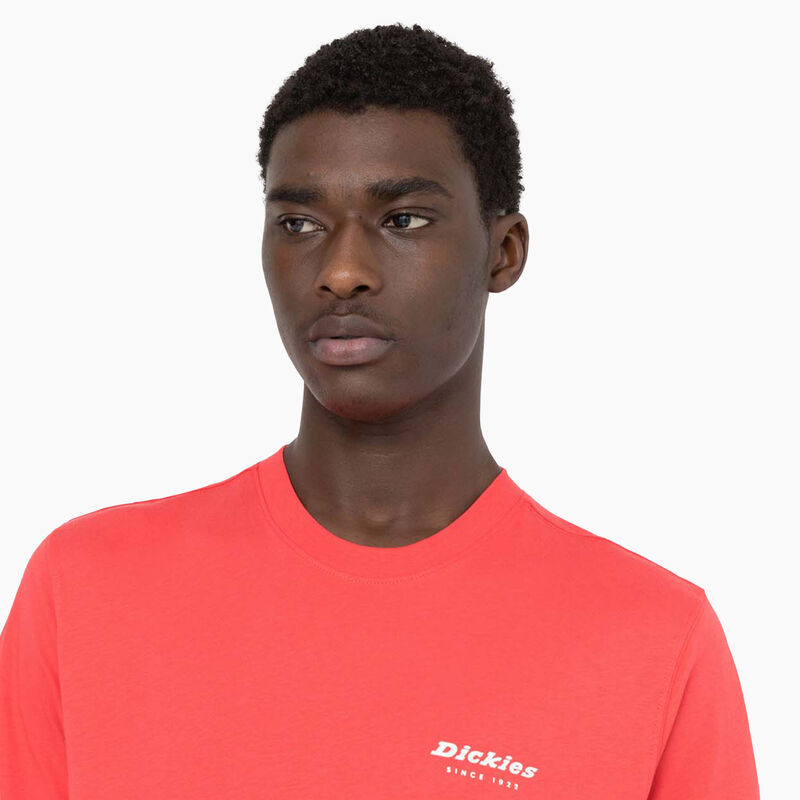 Dickies Leesburg Short Sleeve T-Shirt Bittersweet ID-BUGeZ9rp