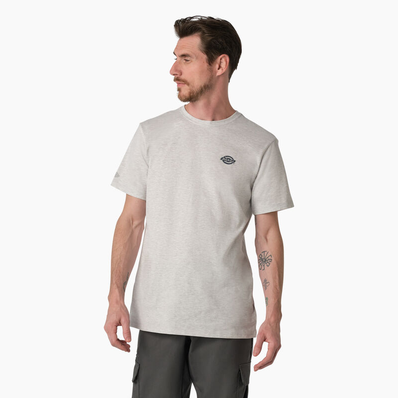 Dickies Cooling Performance Graphic T-Shirt Ash Gray ID-DMjFmuST