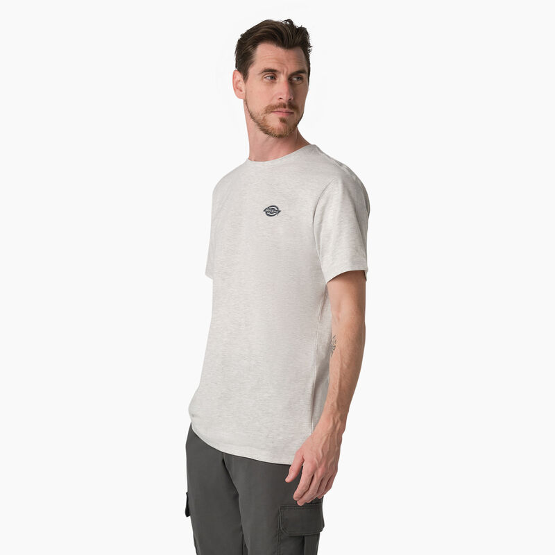 Dickies Cooling Performance Graphic T-Shirt Ash Gray ID-DMjFmuST
