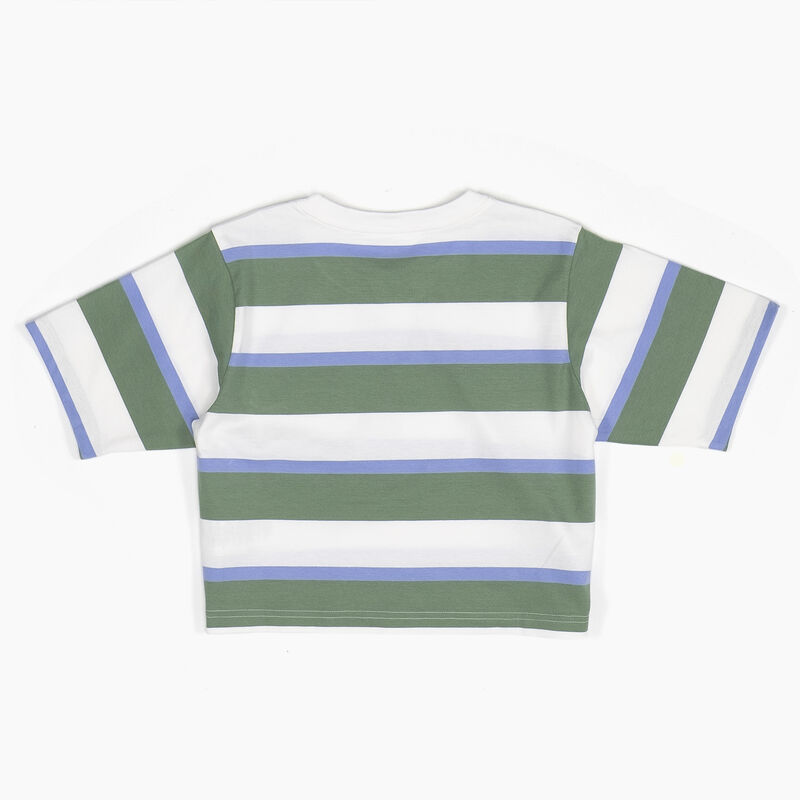 Dickies Striped Cropped Pocket T-Shirt White/Green Collegiate Stripe ID-DcXeSXEW