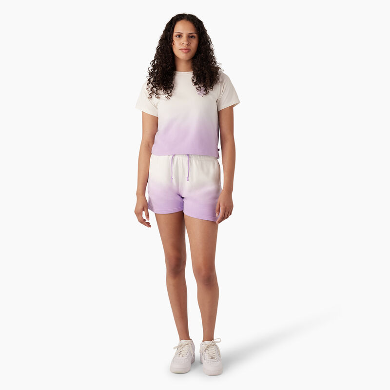 Dickies Relaxed Fit Ombre Knit Shorts, 3