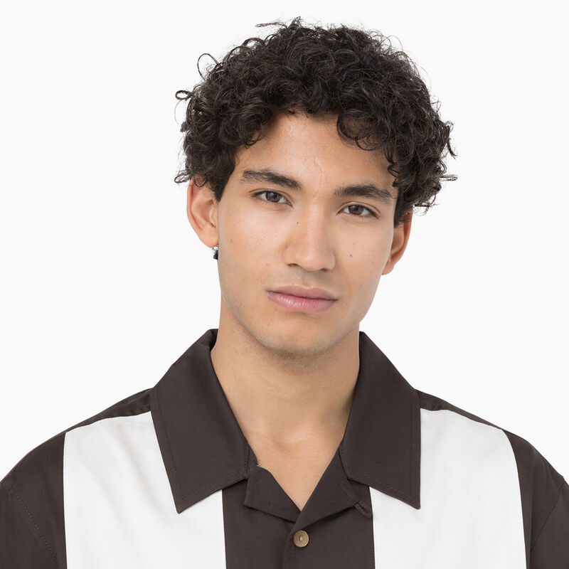 Dickies Westover Short Sleeve Shirt Dark Brown ID-EzedeZLD