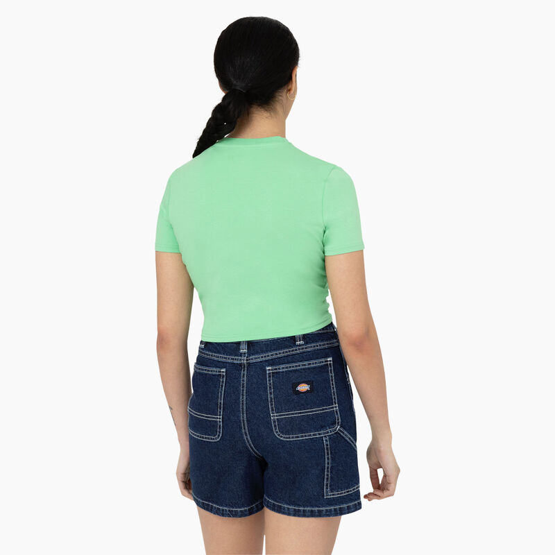 Dickies Maple Valley Logo Cropped T-Shirt Apple Mint ID-FZx1yZZP
