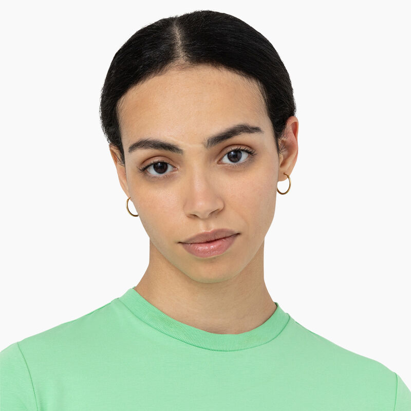 Dickies Maple Valley Logo Cropped T-Shirt Apple Mint ID-FZx1yZZP