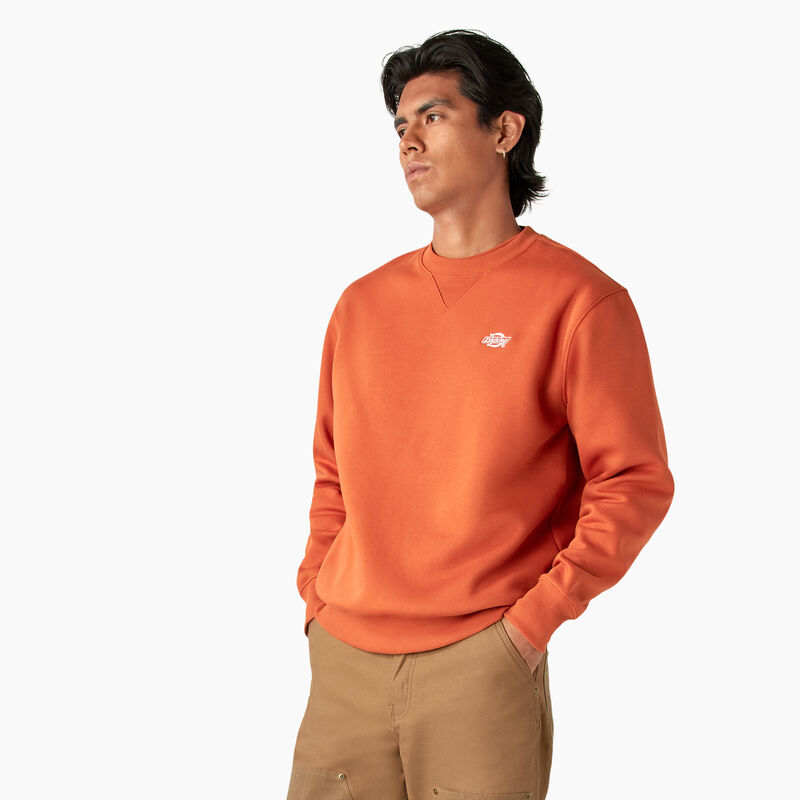 Dickies Summerdale Sweatshirt Bombay Brown ID-H1d2U8FW