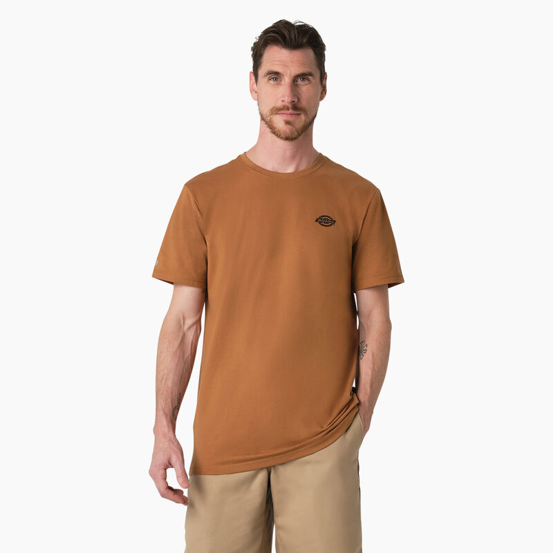 Dickies Cooling Performance Graphic T-Shirt Brown Duck ID-IBKbzzTu