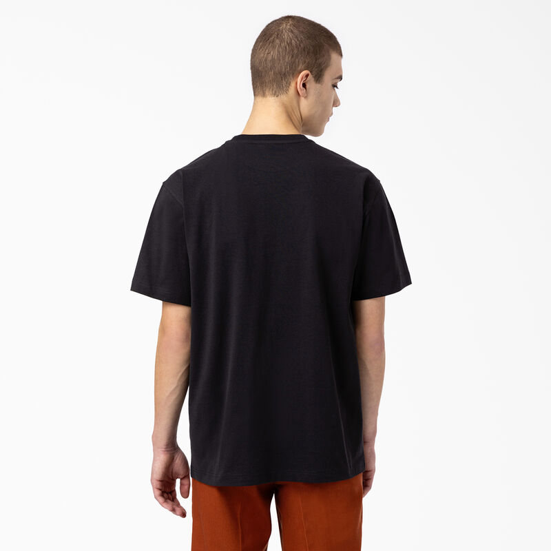 Dickies Union Springs Short Sleeve T-Shirt Black ID-JwnYyEtM