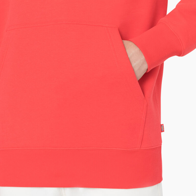 Dickies Summerdale Hoodie Scarlet Ibis ID-KplCVVxp