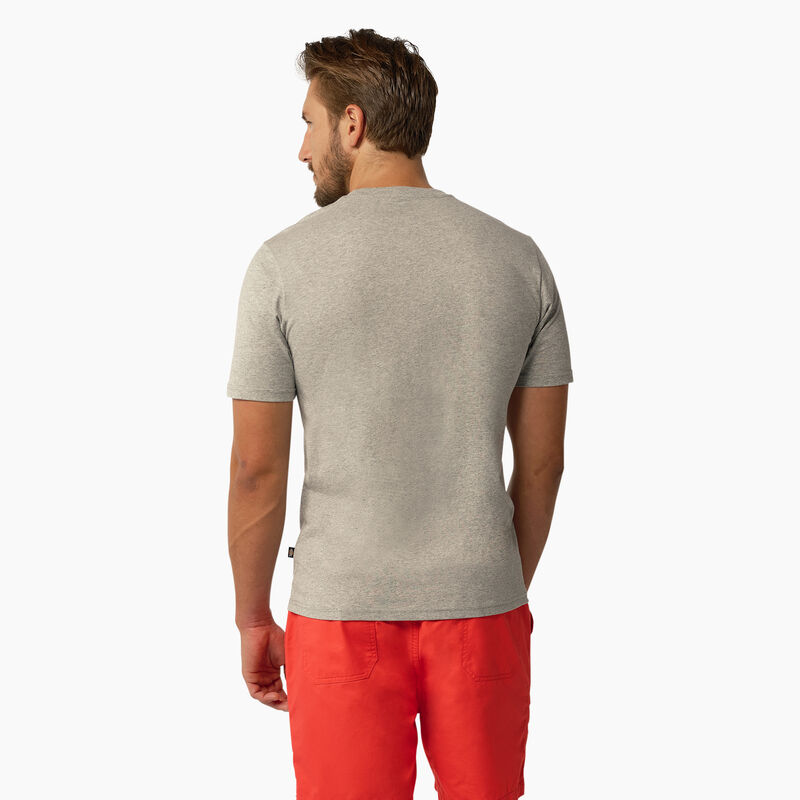 Dickies Mapleton Short Sleeve T-Shirt Heather Gray ID-L2DJYRW2