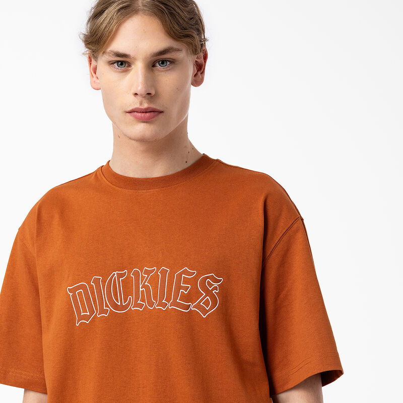 Dickies Union Springs Short Sleeve T-Shirt Gingerbread Brown ID-LyAHZgeh