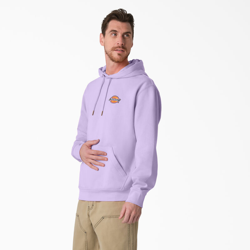 Dickies Fleece Embroidered Chest Logo Hoodie Regular ID-MsbqHlzY