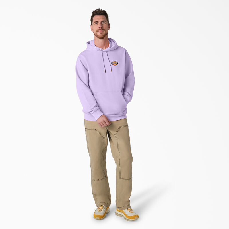 Dickies Fleece Embroidered Chest Logo Hoodie Regular ID-MsbqHlzY