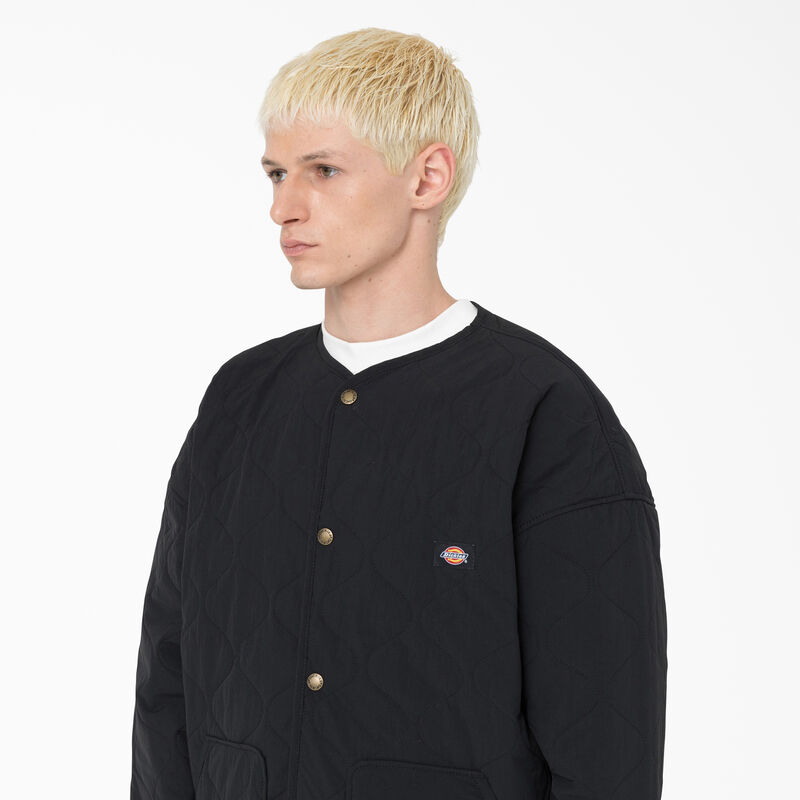 Dickies Thorsby Liner Jacket Black ID-Op7Cajp4