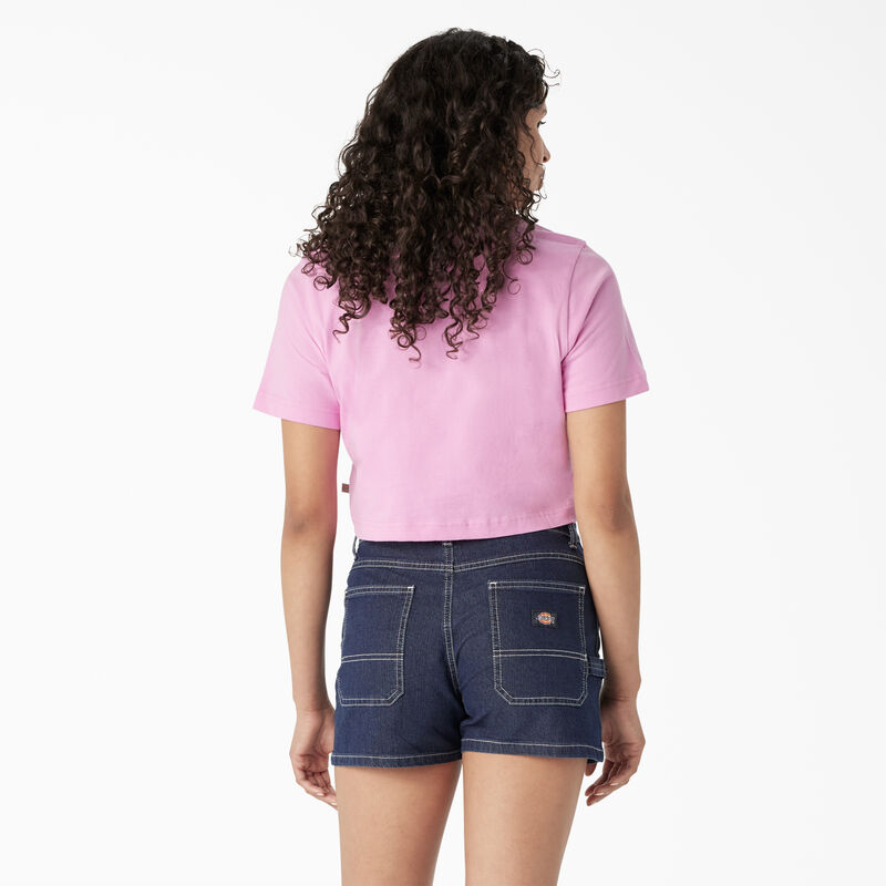 Dickies Desert Graphic Cropped T-Shirt Wild Rose ID-So4sWr1y