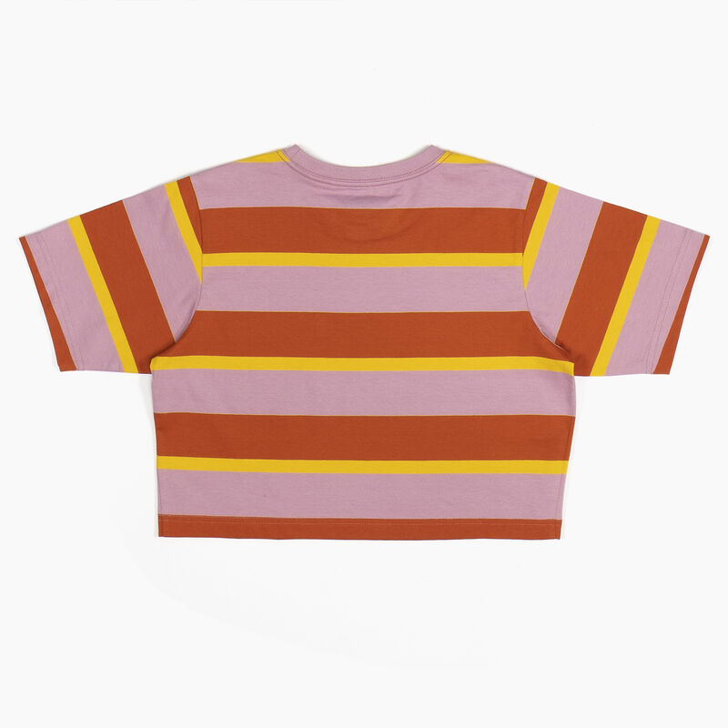 Dickies Striped Cropped Pocket T-Shirt Ginger Fox Collegiate Stripe ID-UgvnKPB4