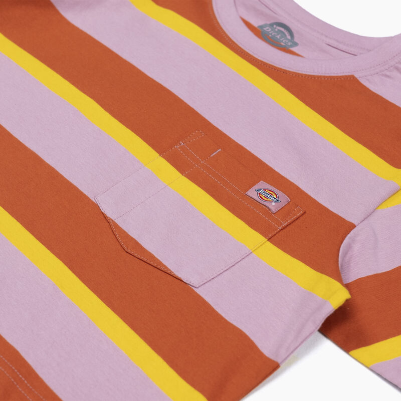 Dickies Striped Cropped Pocket T-Shirt Ginger Fox Collegiate Stripe ID-UgvnKPB4