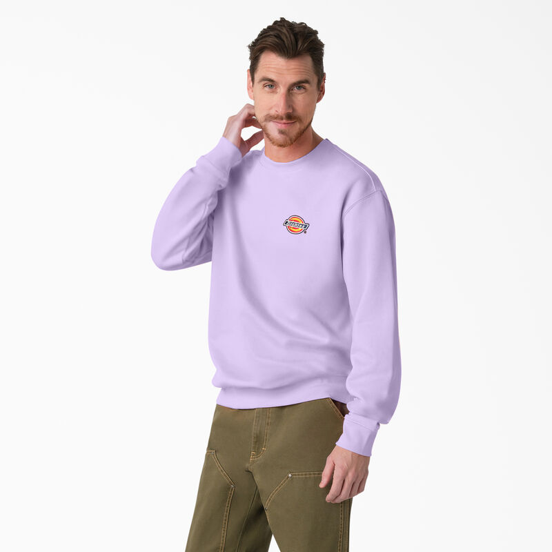 Dickies Fleece Embroidered Chest Logo Sweatshirt Regular ID-V3nWQXet