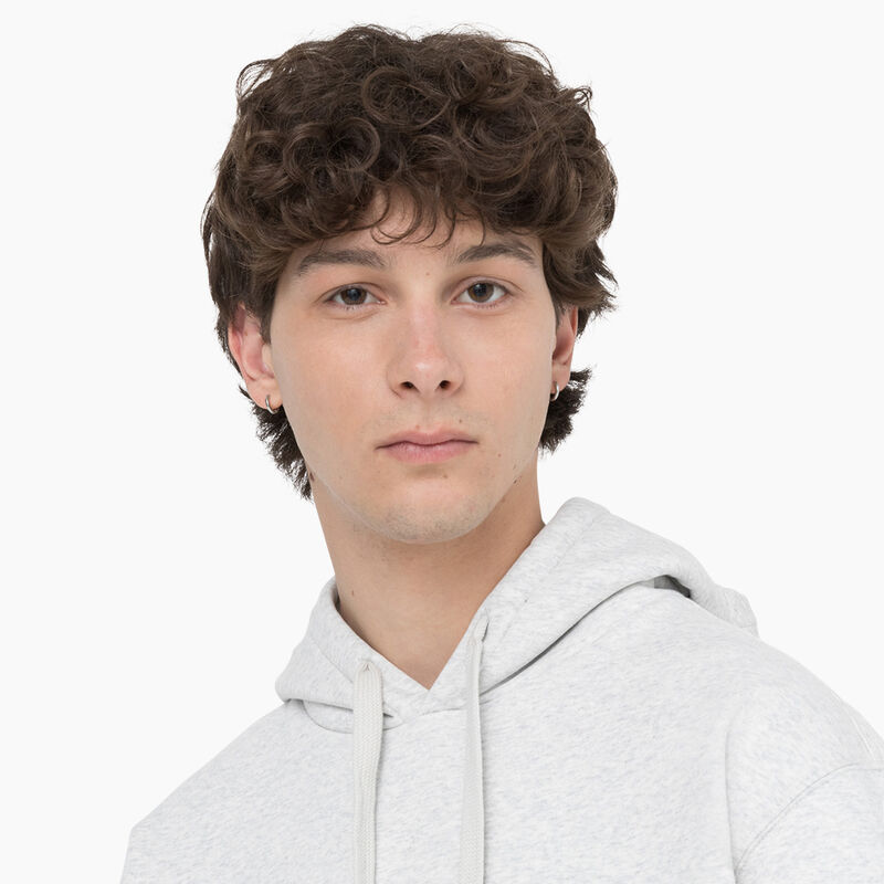 Dickies Summerdale Hoodie Heather Gray ID-V8A3CpF4