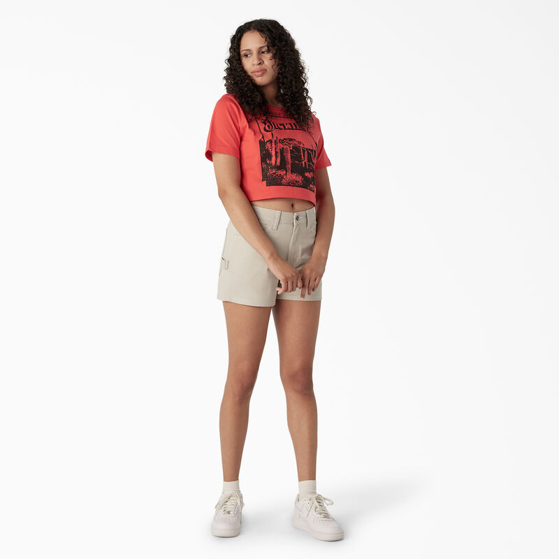 Dickies Desert Graphic Cropped T-Shirt Bittersweet ID-VjgIRJP6
