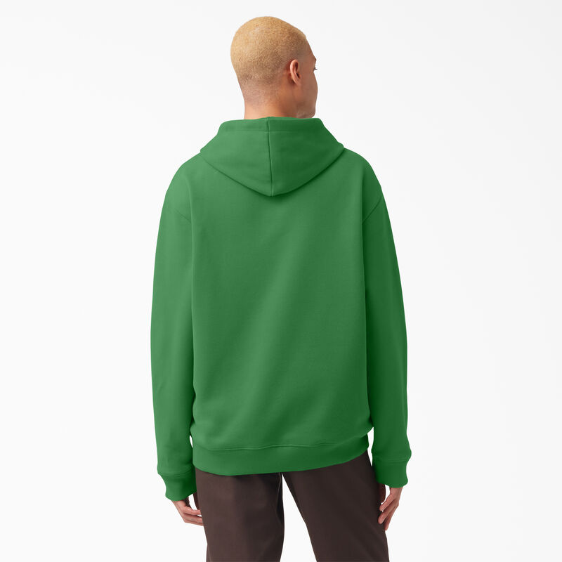 Dickies Vincent Alvarez Embroidered Hoodie Regular ID-Vx7KCHIx