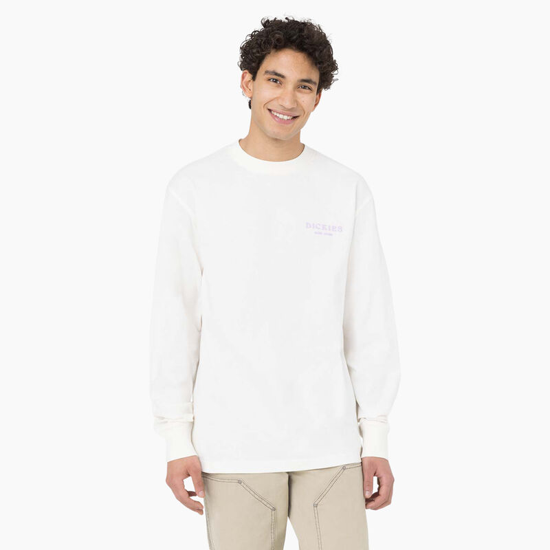 Dickies Oatfield Long Sleeve T-Shirt Cloud ID-WHFz8Ckt