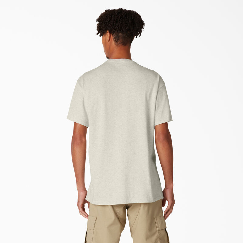 Dickies Skateboarding Distressed OG Graphic T-Shirt Oatmeal Heather ID-WzPiRcKs