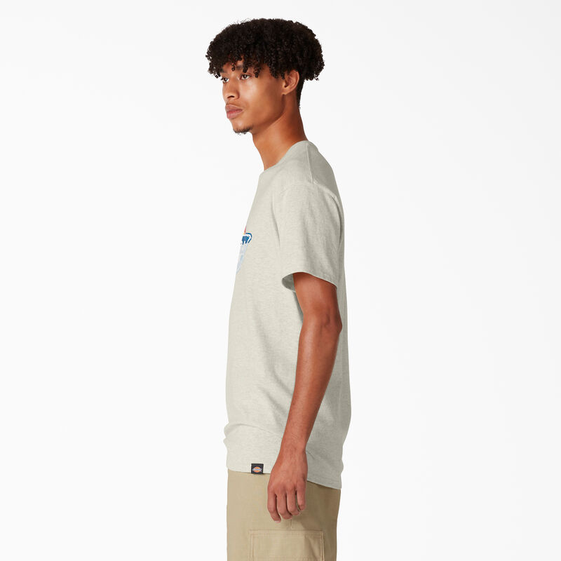 Dickies Skateboarding Distressed OG Graphic T-Shirt Oatmeal Heather ID-WzPiRcKs