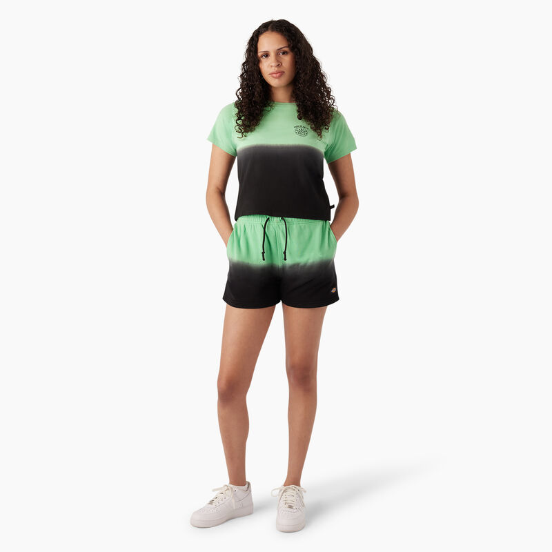 Dickies Relaxed Fit Ombre Knit Shorts, 3