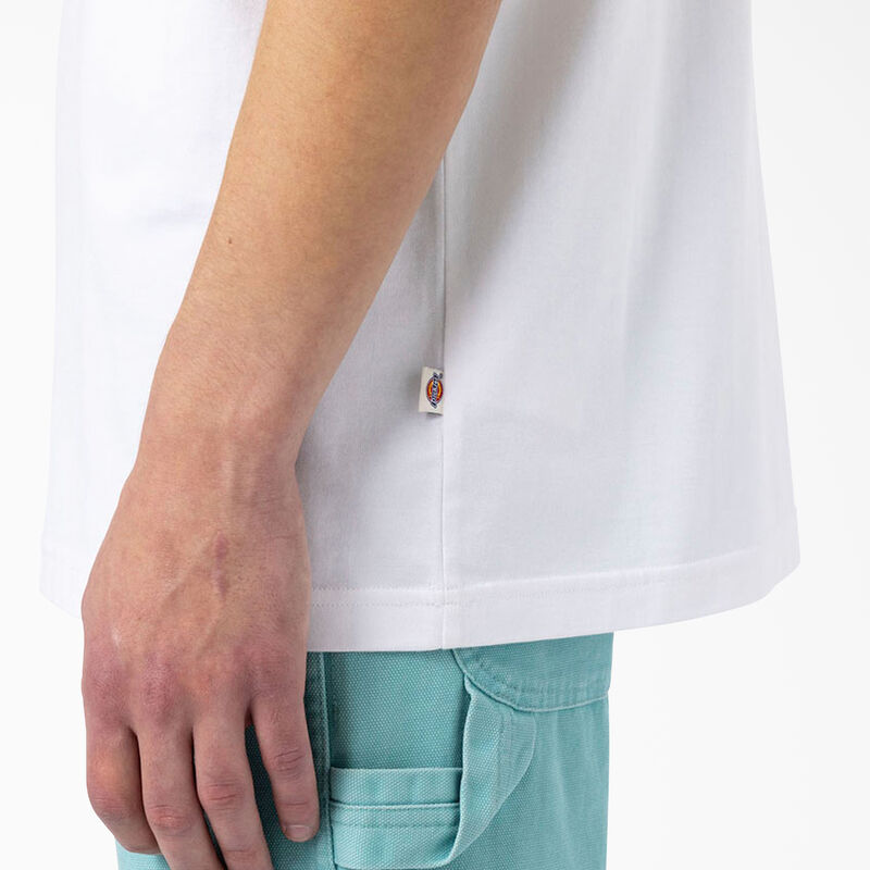 Dickies Skateboarding Mount Vista T-Shirt White ID-XMbkU5g8