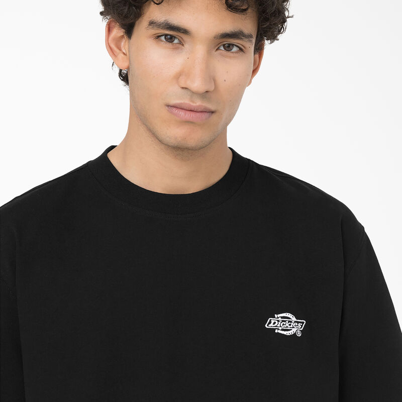 Dickies Summerdale Short Sleeve T-Shirt Black ID-ZsKcl9Uy