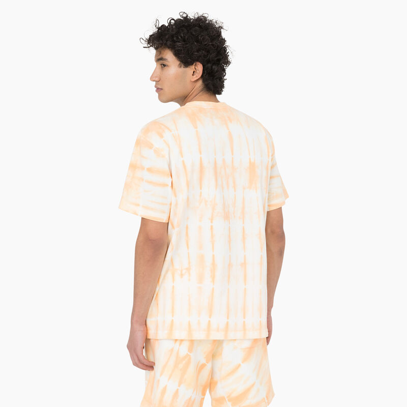 Dickies Westfir Short Sleeve T-Shirt Impala ID-b8wceOCJ