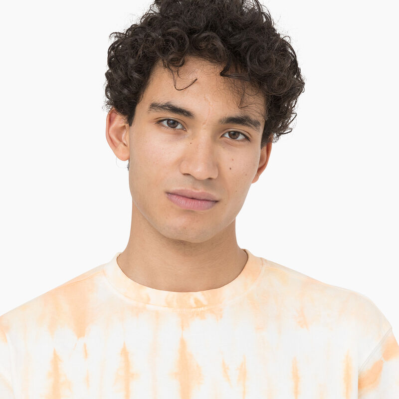 Dickies Westfir Short Sleeve T-Shirt Impala ID-b8wceOCJ